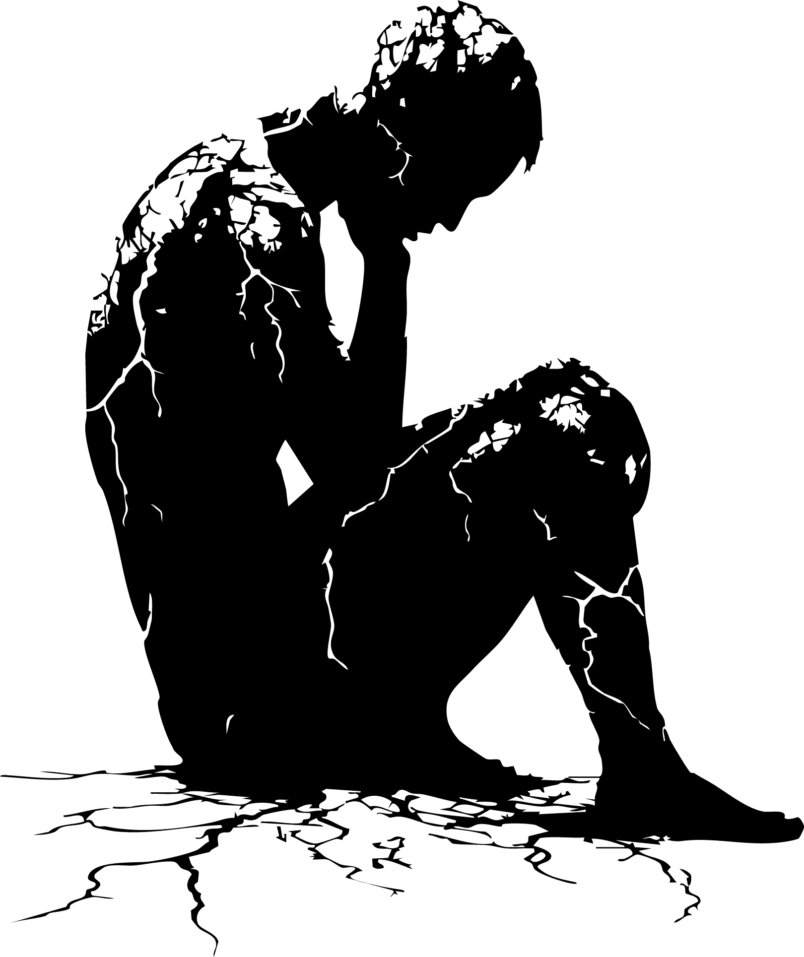 Chapter 1 Icon